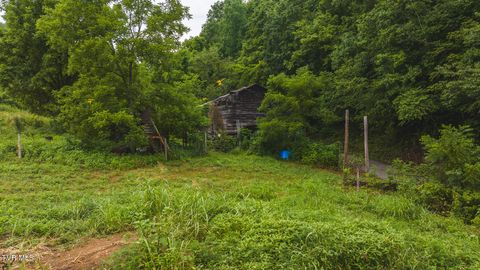Tiny photo for 1446 Brooks Road, Sneedville, TN 37869 (MLS # 9984614)
