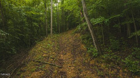 Tiny photo for 1446 Brooks Road, Sneedville, TN 37869 (MLS # 9984614)