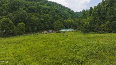 Tiny photo for 1446 Brooks Road, Sneedville, TN 37869 (MLS # 9984614)