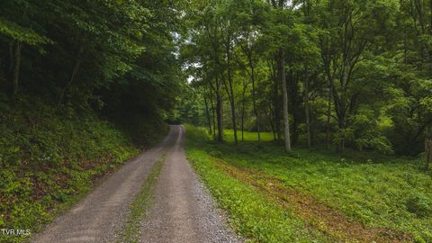 Tiny photo for 1446 Brooks Road, Sneedville, TN 37869 (MLS # 9984614)