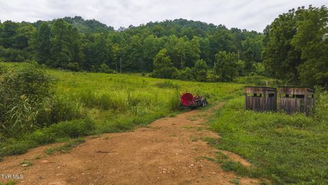 Tiny photo for 1446 Brooks Road, Sneedville, TN 37869 (MLS # 9984614)