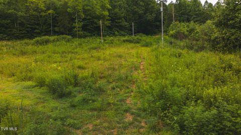 Tiny photo for 1446 Brooks Road, Sneedville, TN 37869 (MLS # 9984614)