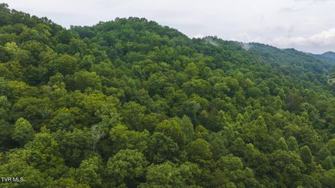 Tiny photo for 1446 Brooks Road, Sneedville, TN 37869 (MLS # 9984614)