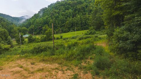 Tiny photo for 1446 Brooks Road, Sneedville, TN 37869 (MLS # 9984614)