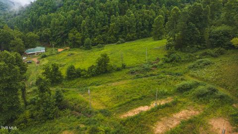 Tiny photo for 1446 Brooks Road, Sneedville, TN 37869 (MLS # 9984614)