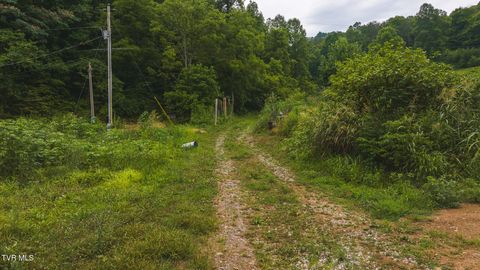 Tiny photo for 1446 Brooks Road, Sneedville, TN 37869 (MLS # 9984614)