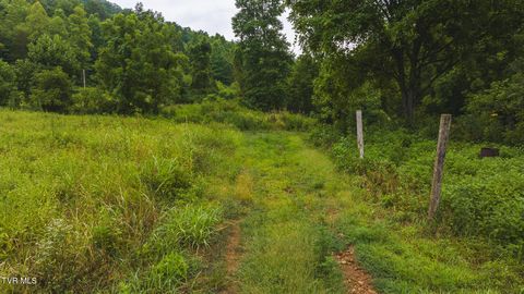 Tiny photo for 1446 Brooks Road, Sneedville, TN 37869 (MLS # 9984614)