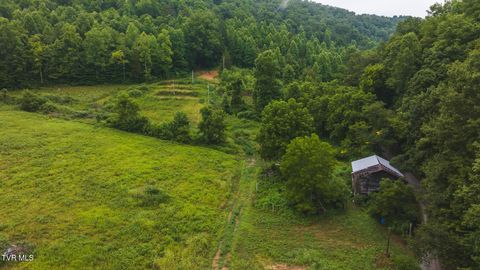 Tiny photo for 1446 Brooks Road, Sneedville, TN 37869 (MLS # 9984614)