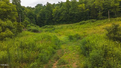 Tiny photo for 1446 Brooks Road, Sneedville, TN 37869 (MLS # 9984614)