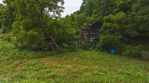 Tiny photo for 1446 Brooks Road, Sneedville, TN 37869 (MLS # 9984614)