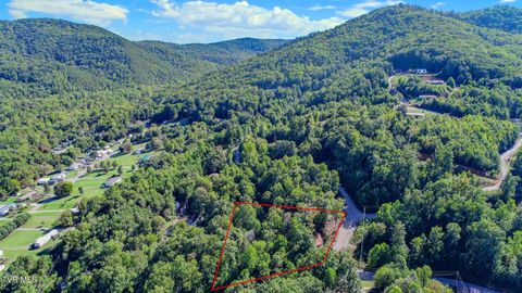 Vacant Land For Sale - 1282 Applewood Rd Rd<br/> Newport, TN 37821