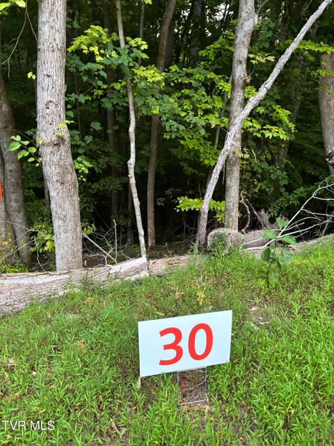 Vacant Land For Sale - 30 Fox Trott Pl<br/> Unicoi County, Unicoi, TN 37692