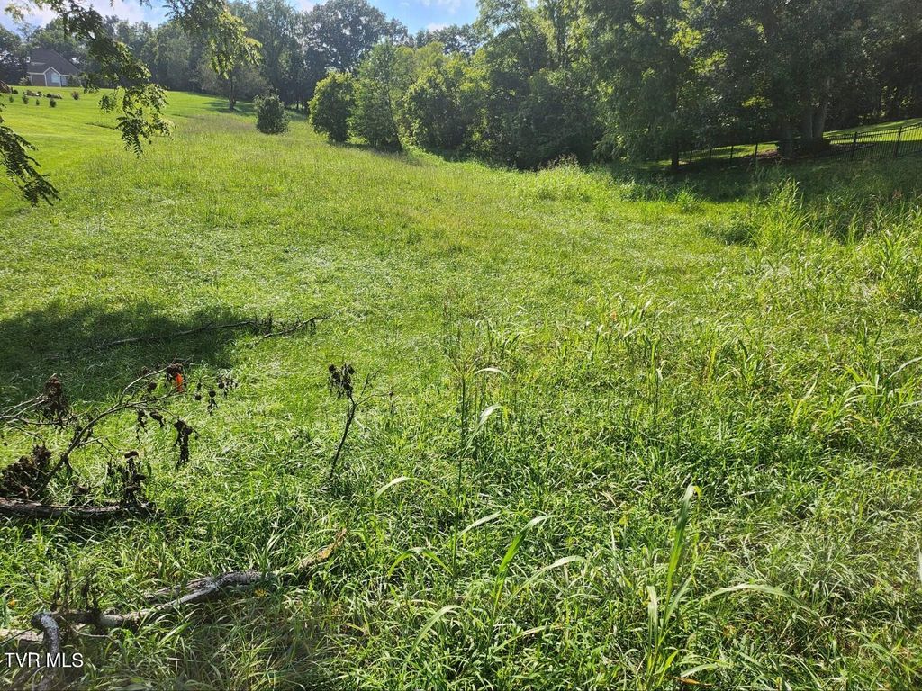 Photo of 30 Fox Trott Pl, Unicoi, TN 37692 (MLS # 9970403)