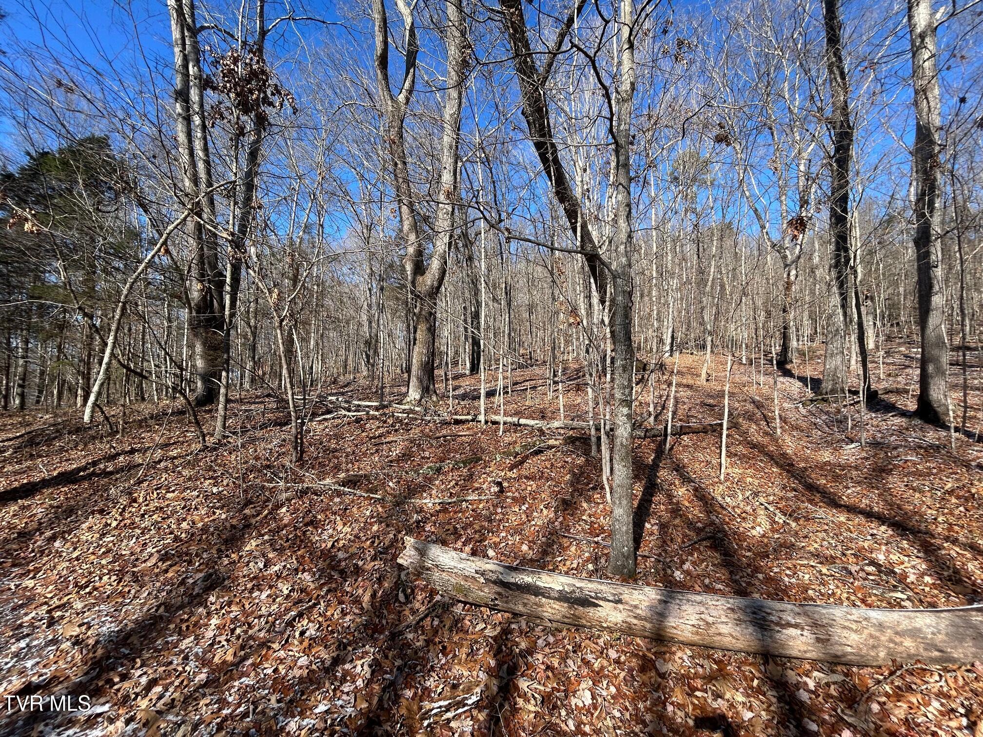 Tbd Carters Valley Loop, Rogersville, Tennessee image 5