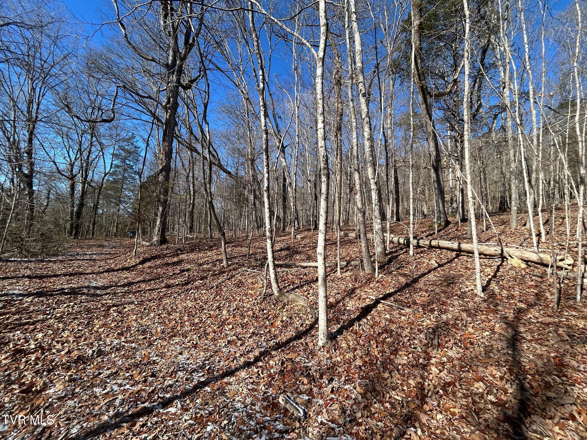 Tbd Carters Valley Loop, Rogersville, Tennessee image 6