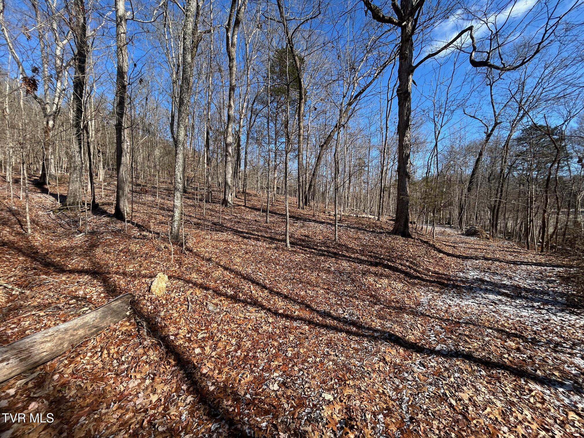 Tbd Carters Valley Loop, Rogersville, Tennessee image 4