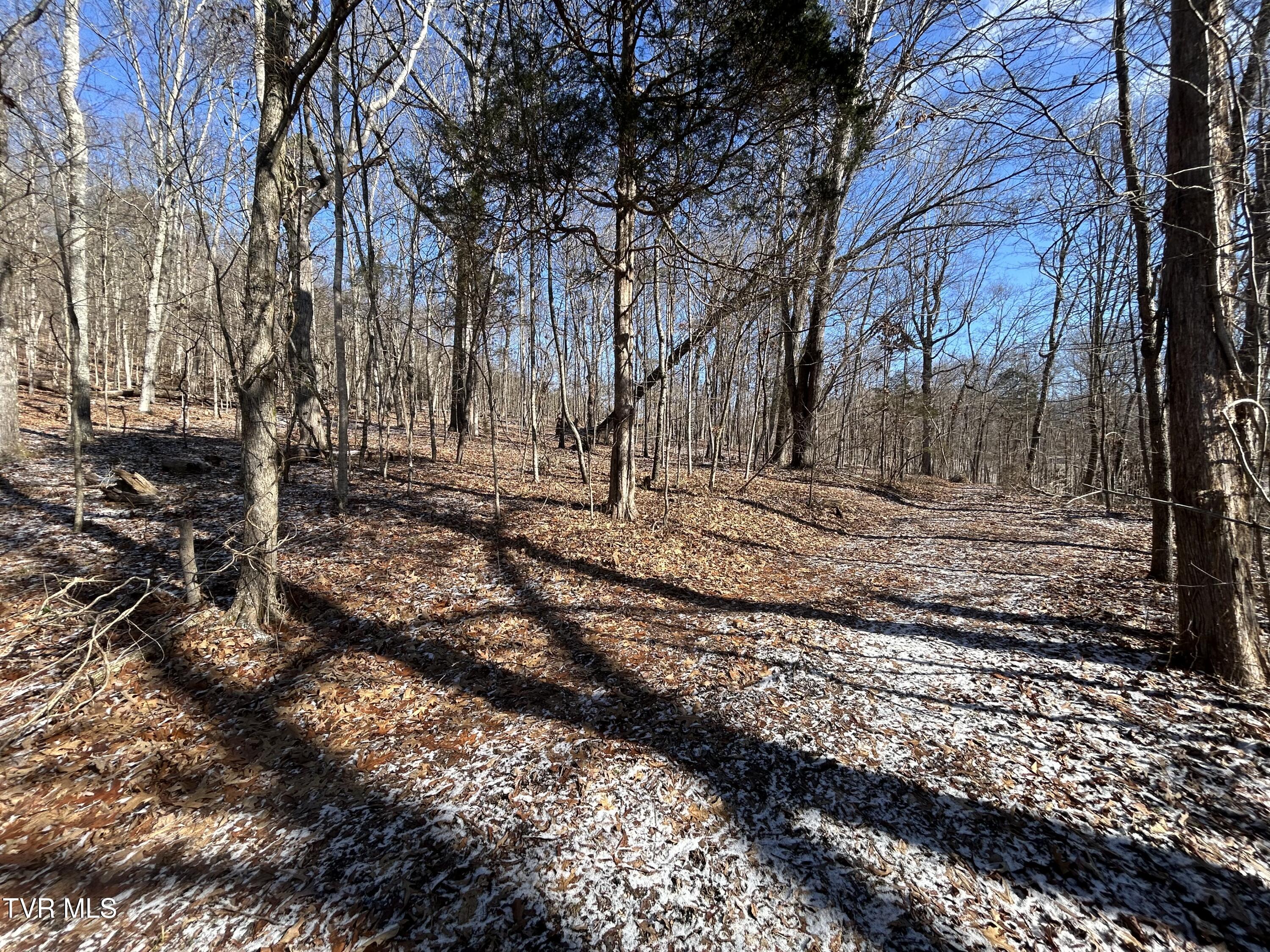 Tbd Carters Valley Loop, Rogersville, Tennessee image 3
