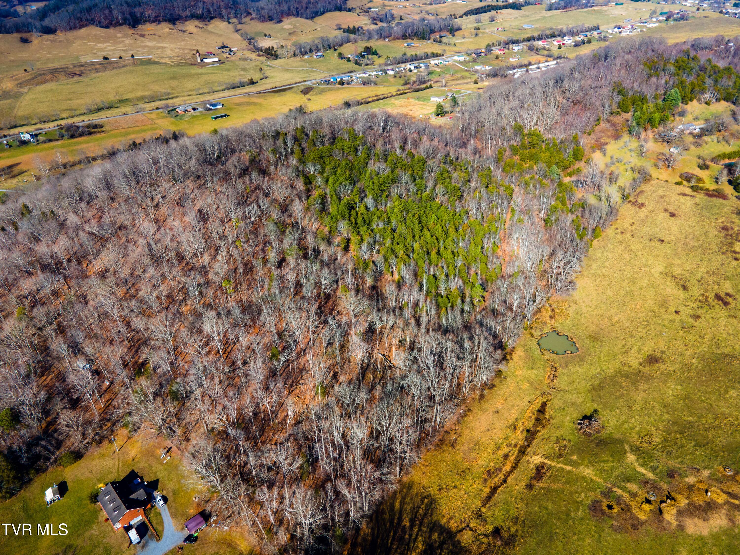 Tbd Carters Valley Loop, Rogersville, Tennessee image 1