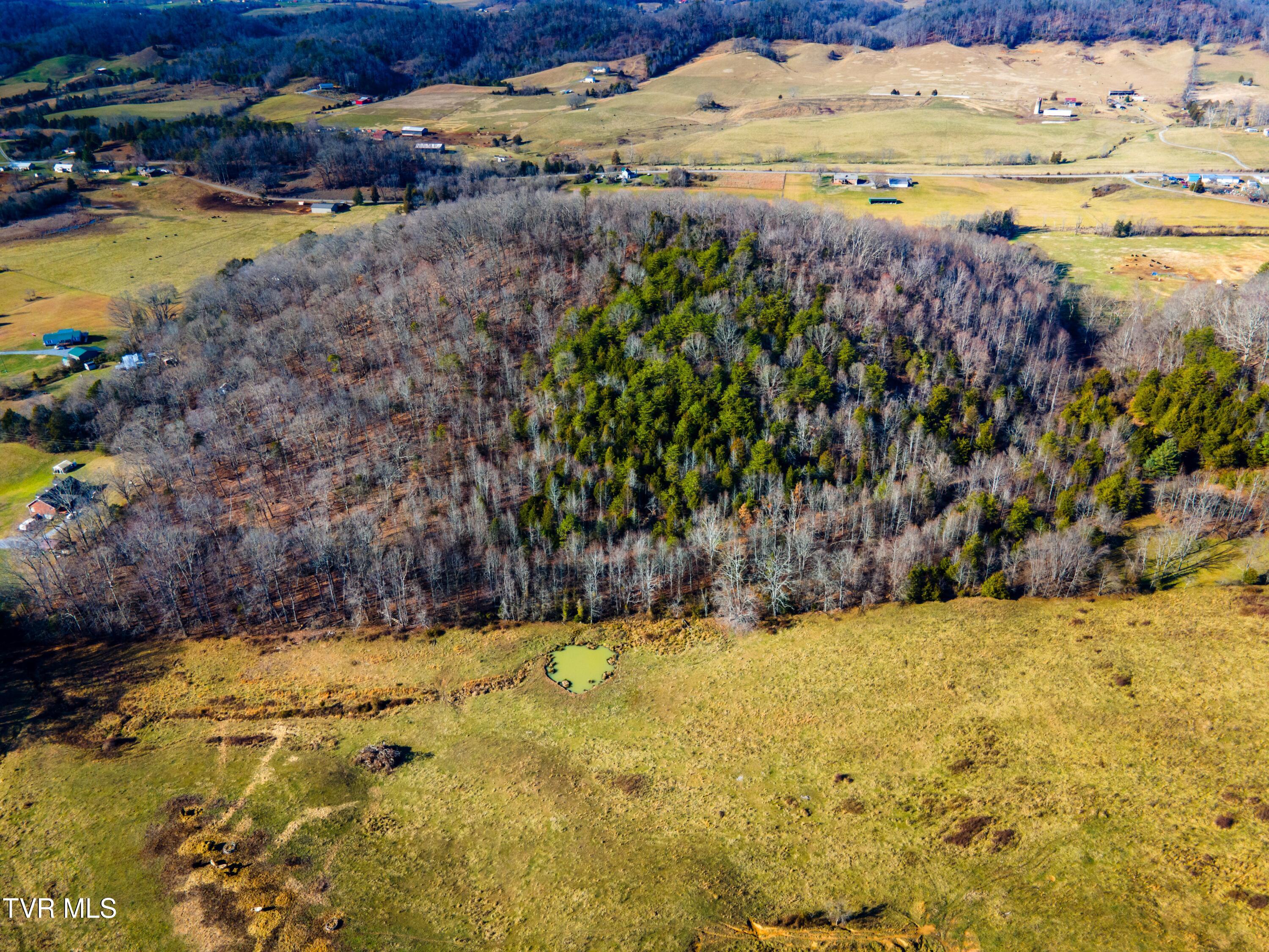 Tbd Carters Valley Loop, Rogersville, Tennessee image 8