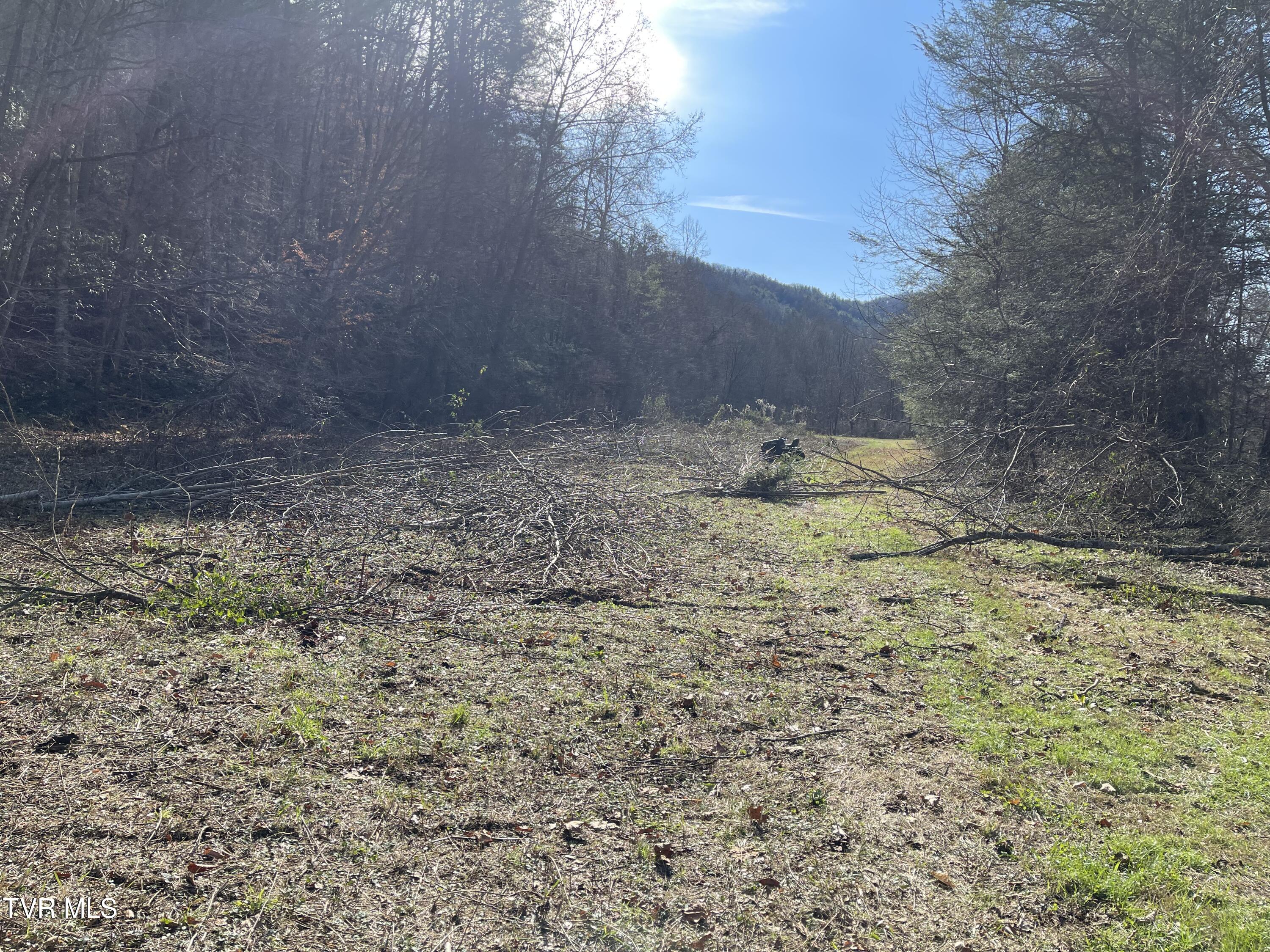 00 Of Roan Creek Road, Butler, Tennessee image 7