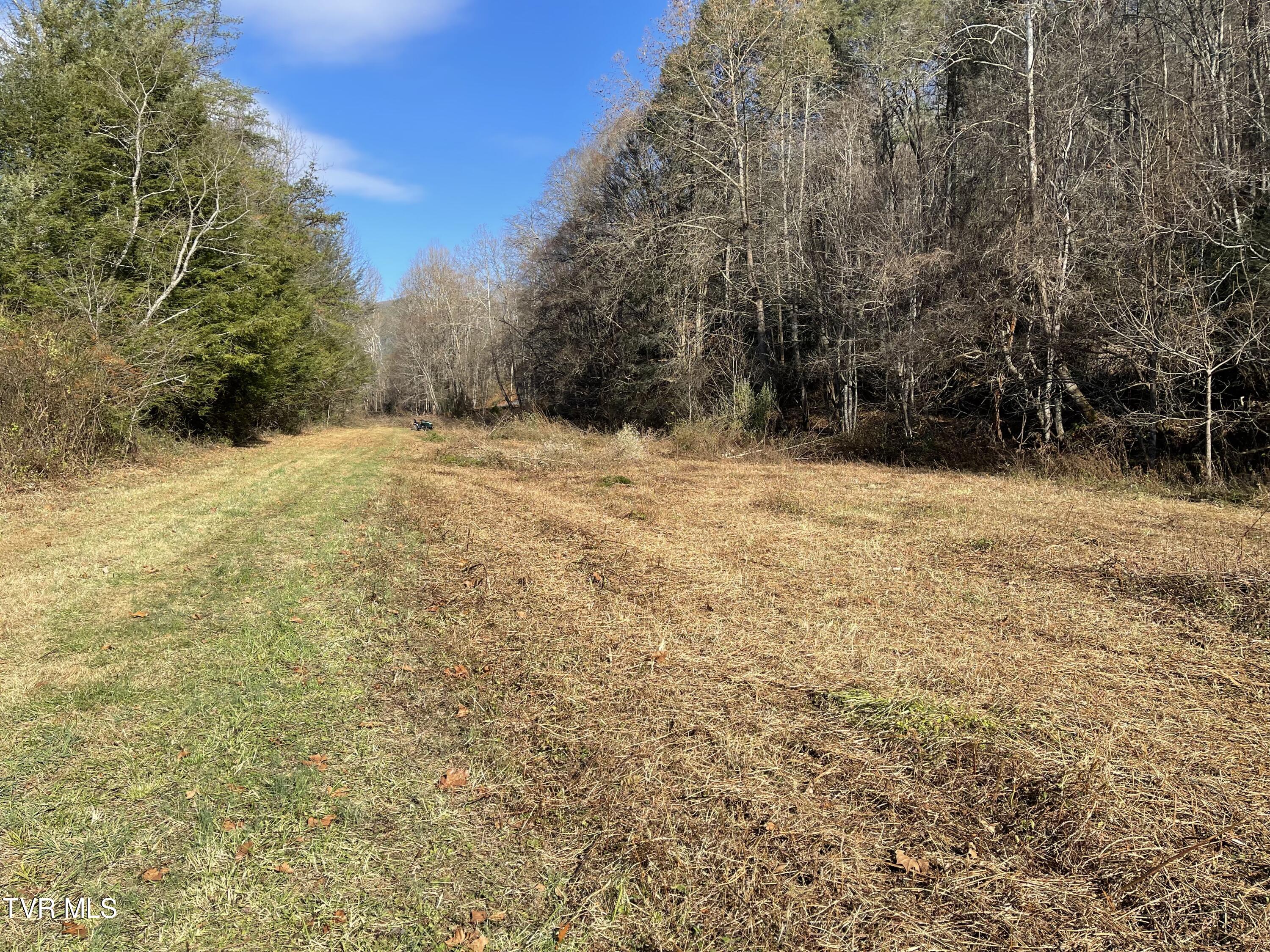 00 Of Roan Creek Road, Butler, Tennessee image 9