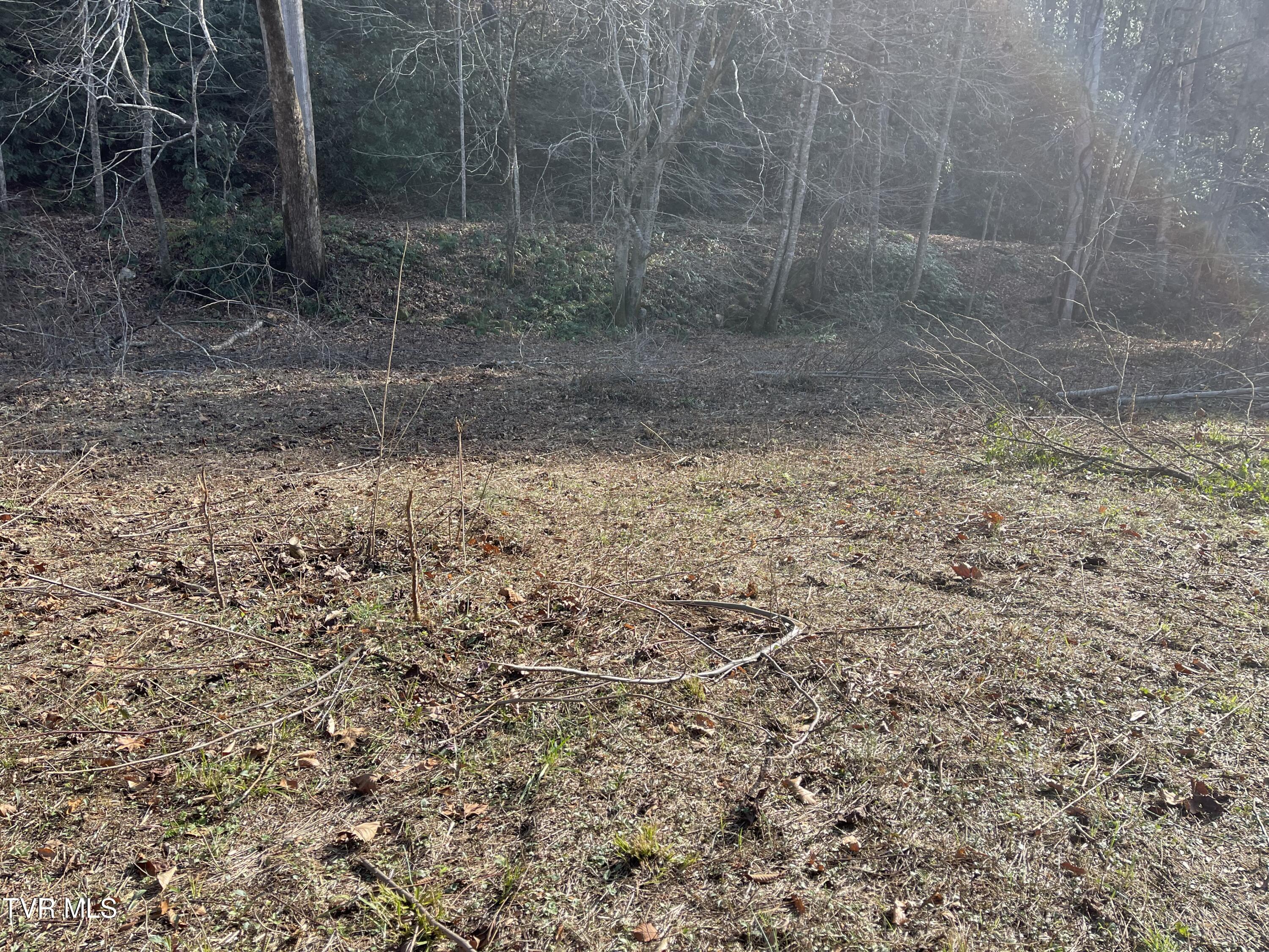 00 Of Roan Creek Road, Butler, Tennessee image 6