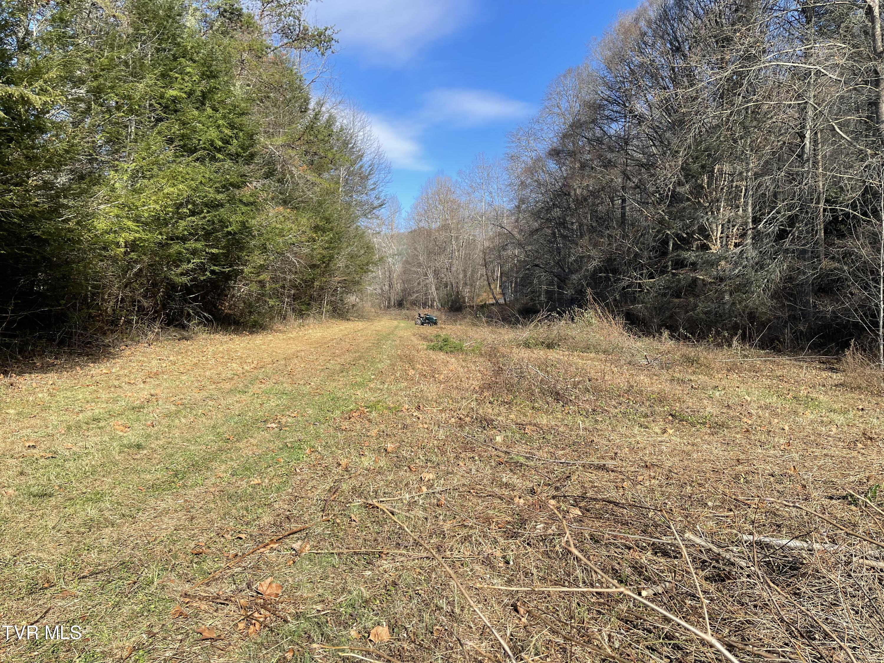 00 Of Roan Creek Road, Butler, Tennessee image 8