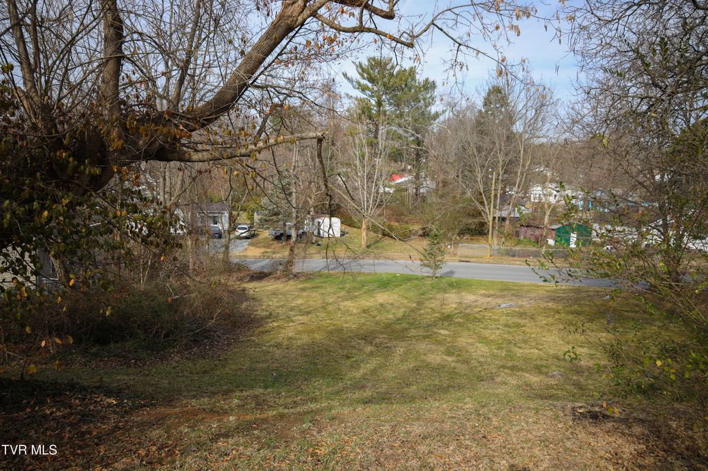 Photo of 308 10th Avenue, Johnson City, TN 37604 (MLS # 9990153)
