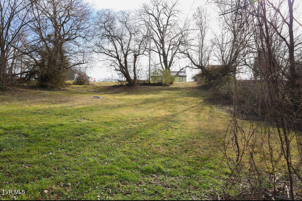 Photo of 308 10th Avenue, Johnson City, TN 37604 (MLS # 9990153)