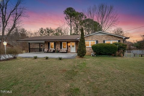 Photo of 515 Ravenwood Drive, Johnson City, TN 37604 (MLS # 9990206)