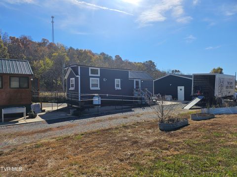 Photo of 2949 Highway 321, Parrottsville, TN 37843 (MLS # 9992085)