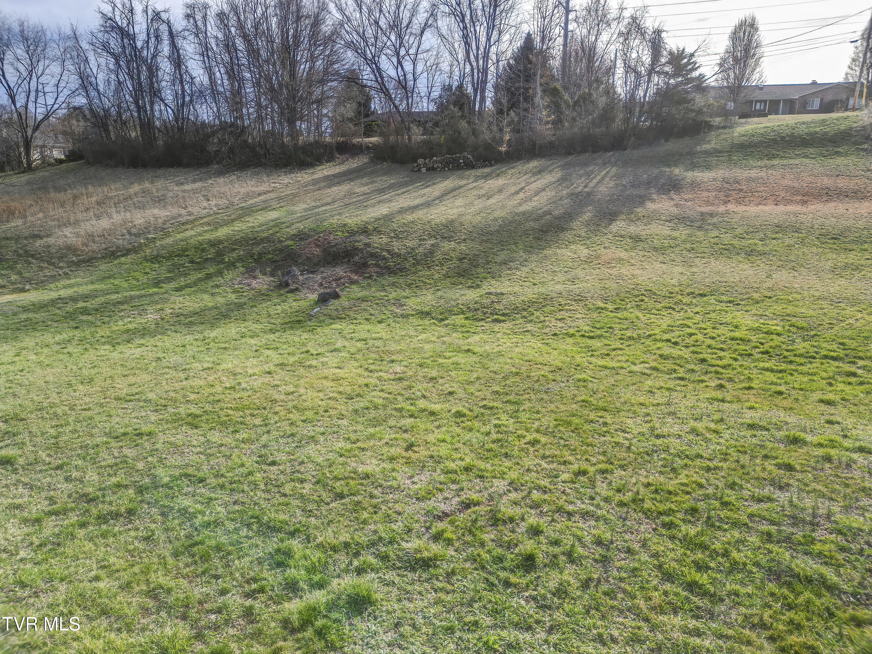 Tbd Silver Maple Drive, Johnson City, Tennessee image 2