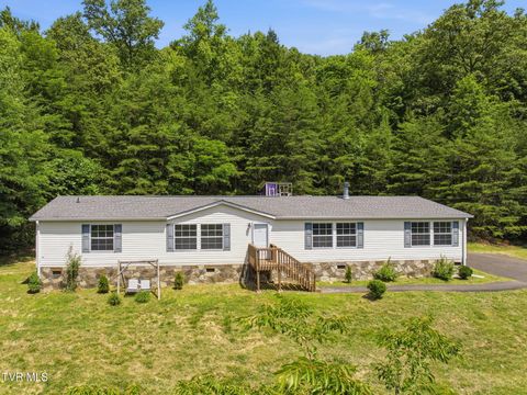 Homes For Sale - 835 Mountain View Road<br/> Rogersville, TN 37857