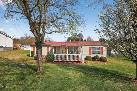 Photo of 404 Ashville Avenue, Mount Carmel, TN 37645 (MLS # 9992389)