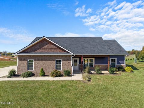Photo of 280 Green Lawn Avenue, Greeneville, TN 37743 (MLS # 9987168)