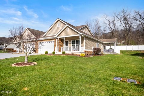 Photo of 11541 Meadowood Drive, Bristol, VA 24202 (MLS # 9992626)