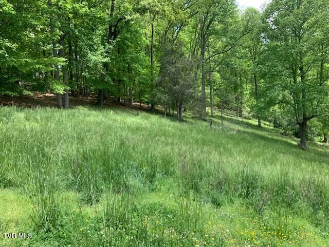 1478 Bellamy Tipton Road, Gate City, Virginia image 5