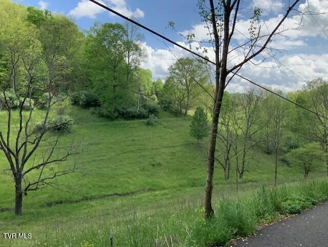 1478 Bellamy Tipton Road, Gate City, Virginia image 9