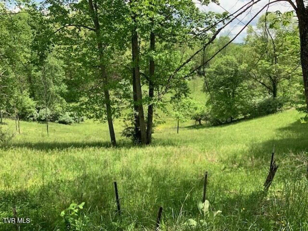 Photo of 1478 Bellamy Tipton Road, Gate City, VA 24251 (MLS # 9979772)