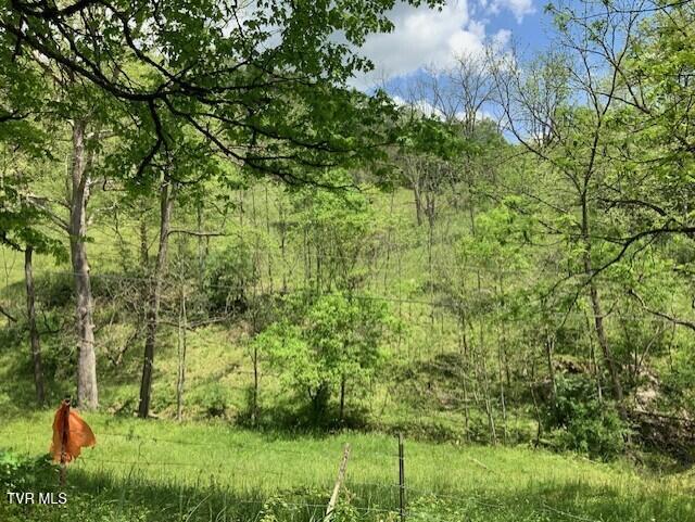 1478 Bellamy Tipton Road, Gate City, Virginia image 10