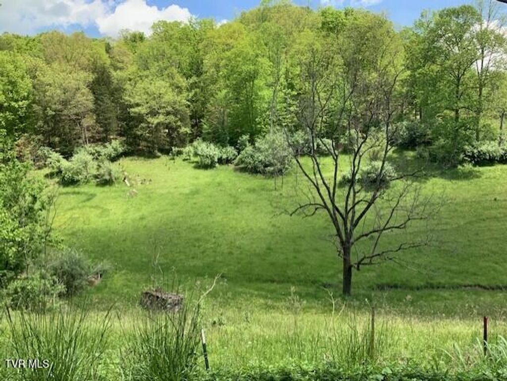 Photo of 1478 Bellamy Tipton Road, Gate City, VA 24251 (MLS # 9979772)