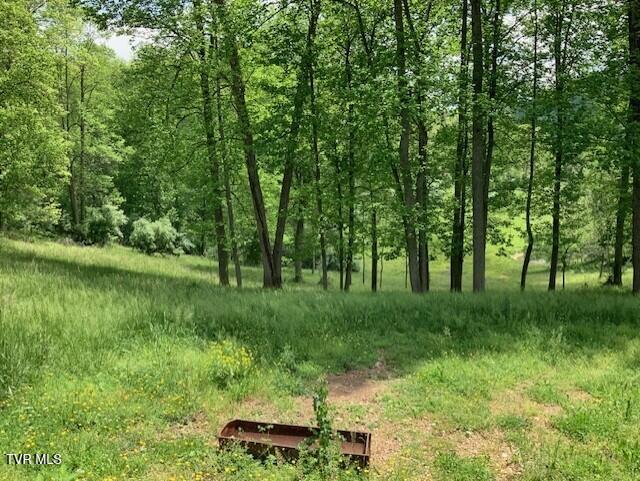 1478 Bellamy Tipton Road, Gate City, Virginia image 6