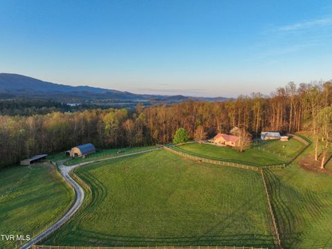 Photo of 415 Beidleman Road, Bristol, TN 37620 (MLS # 9993329)