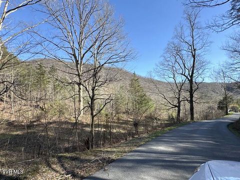 Tiny photo for 2063 Kelley Gap Road, Greeneville, TN 37743 (MLS # 9983167)