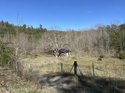 Tiny photo for 2063 Kelley Gap Road, Greeneville, TN 37743 (MLS # 9983167)