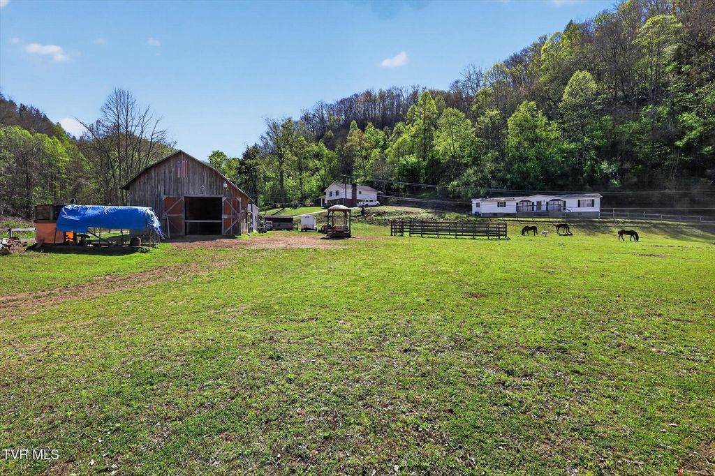 Photo of 11343 Robinson Hollow Road, Coeburn, VA 24230 (MLS # 9994121)