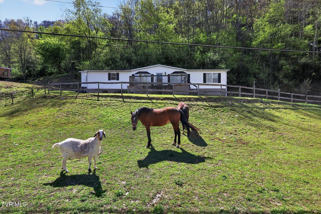 Photo of 11343 Robinson Hollow Road, Coeburn, VA 24230 (MLS # 9994121)