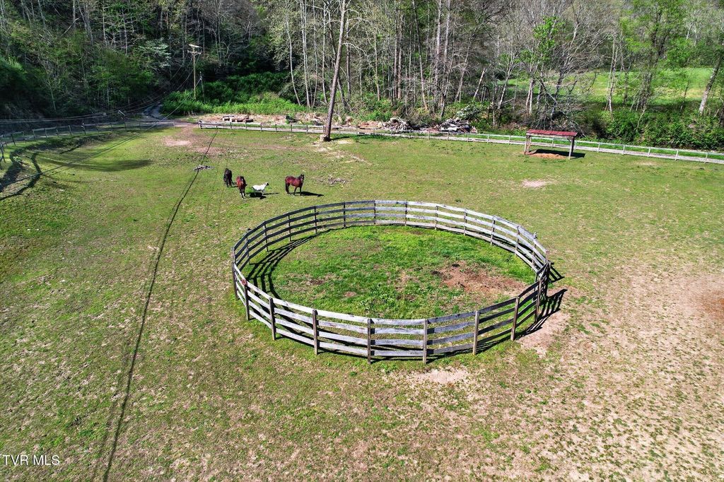 Photo of 11343 Robinson Hollow Road, Coeburn, VA 24230 (MLS # 9994121)