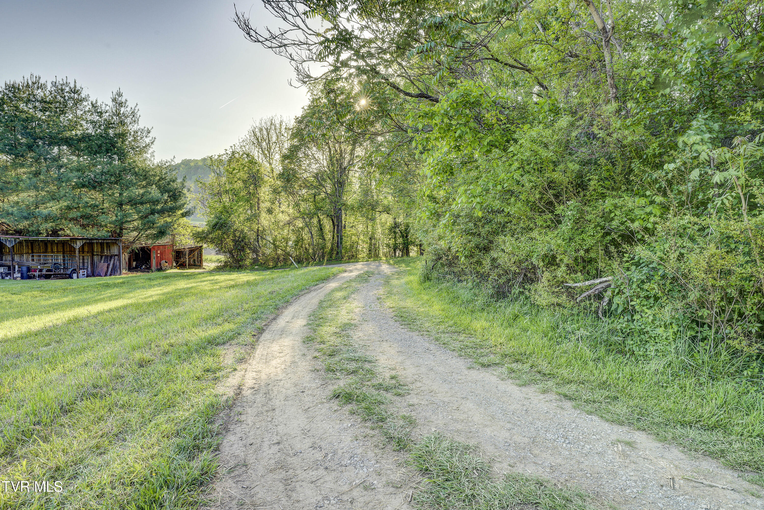 701 Bailey Lane, Erwin, Tennessee image 31