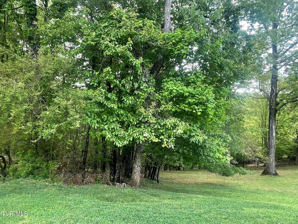 Photo of Tbd Hillcrest Drive, Gate City, VA 24251 (MLS # 9995993)